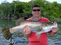 `Fish Tales` Charters logo